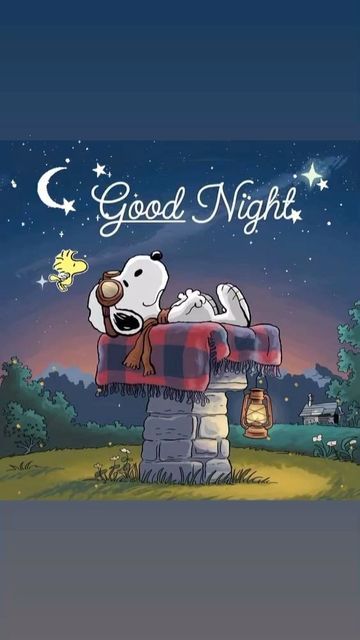 Funny Snoopy Daily on Instagram: "Good night & sweet dreams 😴" Snoopy Good Night, Good Night Snoopy, Funny Snoopy, Good Night Funny, Goodnight Quotes, Snoopy Friends, Good Night Sweet Dreams, Friend Quotes, Sweet Dreams