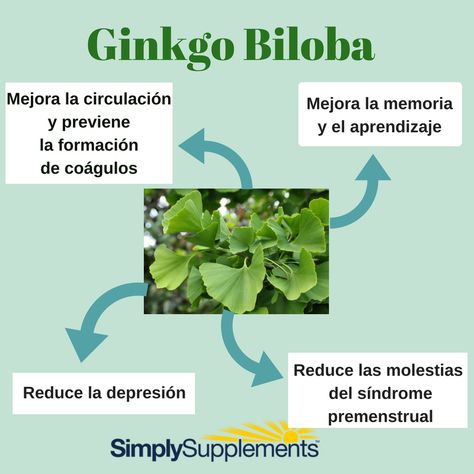 Ginko Biloba, Ginkgo Biloba, Medicinal Plants, Heart Health, Brain Health, Natural Remedies, Medicine, Health And Beauty, Essence