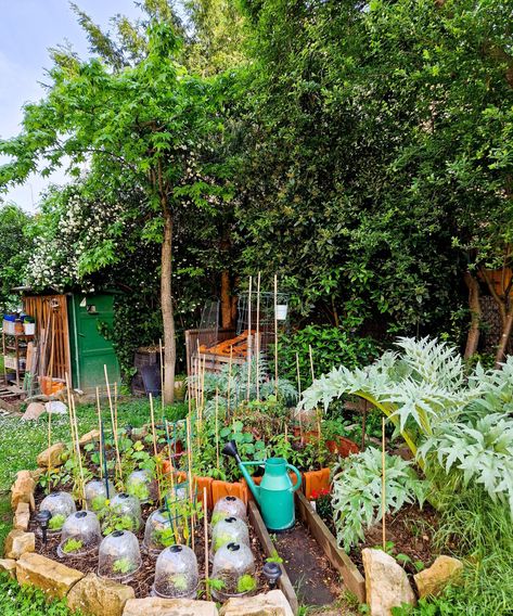 What is keyhole gardening and expert tips on how to do it | Keyhole Garden Layout, Keyhole Garden Design, Keyhole Gardening, Raised Bed Gardening, Keyhole Garden, Recycled Brick, Diy Raised Garden, Permaculture Gardening, Gardening Techniques