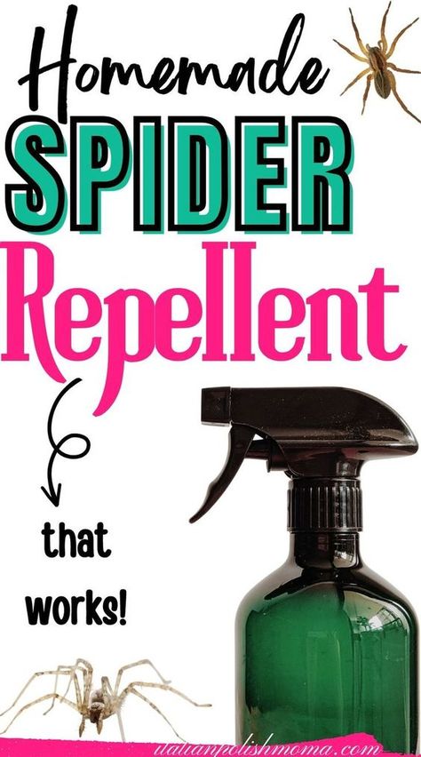 DIY spider repellent spray that works fast and is safe to use! Looking for a natural and homemade spider repellent that will get rid of those pesky spiders fast? Here are two spider repellent spray recipes that will kill those spiders in your home in no time! #spiderrepellent #spiderspray #DIYspiderrepellent #homemadespiderrepellent indoor spider repellent - DIY indoor spider repellent - DIY spider spray - natural spider repellent - DIY essential oils Spider Repellent Diy Essential Oils, Spider Spray Diy, Homemade Spider Spray, Spiders Repellent Diy, Peppermint Oil For Spiders, Natural Spider Repellent, Natural Spider Repellant, Spider Repellent, Homemade Bug Repellent