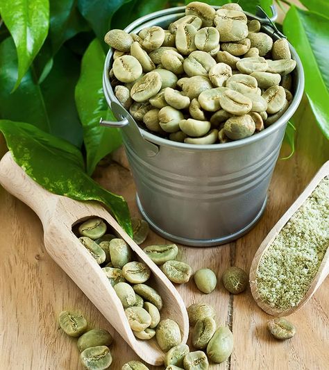 Coffea Arabica, Green Coffee Bean Extract, How To Make Greens, Coffee Benefits, Body Wrap, Green Coffee Bean, Diet Keto, Coffee Bean, Side Effects