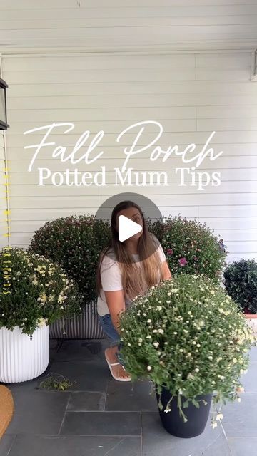 Life Stylishly - Home Decor on Instagram: "SAVE and LIKE 🍂🍁 this post for easy care tips to keep your mums looking beautiful all season long!   Potted mums are the easiest way to bring a splash of color to your fall front porch! 🎃🍂🍁👻  They’re low-maintenance and will stay fresh and vibrant with just a little care.   Pro tip: Choose mums that haven’t fully bloomed yet so you can enjoy them even longer!   I love them adding them to the mix of potted ferns that I have had through the summer and then adding in some ornamental kale. The combination is stunning.   #falldecor #frontporch #fallporchdecor #autumnvibes" Front Entry Planter Ideas, Fall Front Porch With Mums, Decorating With Mums Front Porches, Fall Porch With Mums, Fall Mums Display Porch, Front Door Mums, Mums And Lanterns Front Porch, Mums Flowers Front Porch Fall Decorating, Mums Landscaping