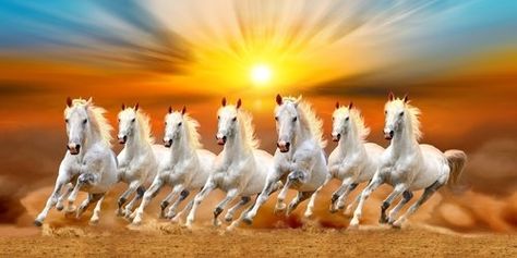 7horses Wallpaper, Running Horse Wallpaper For Phone, Running Horse Wallpaper, White Horse Wallpaper, Seven Running Horses, 7 Horses Running Painting, 7 Horses Running Painting Vastu, Seven Horses Painting, Vastu Wallpaper