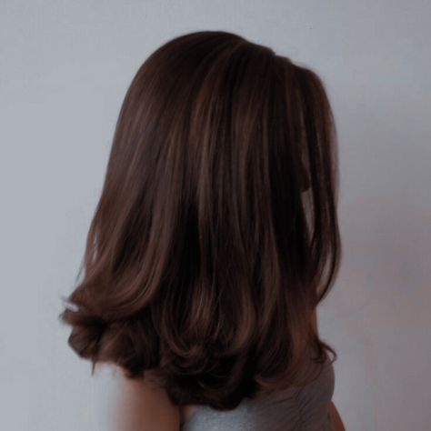 Medium Fluffy Hair, Aesthetic Haircuts Medium, Charlotte York Hair, Aesthetic Haircuts, Haircuts Medium Length, Haircuts Medium, Brown Hair Inspo, Brunette Balayage, Long Brown Hair