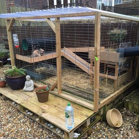 Bunny run/hutch Outdoor Rabbit Run, Rabbit Cages Outdoor, Rabbit Shed, Guinea Pig Run, Diy Rabbit Hutch, Rabbit Diy, Outdoor Rabbit Hutch, Rabbit Enclosure, Guinea Pig Hutch