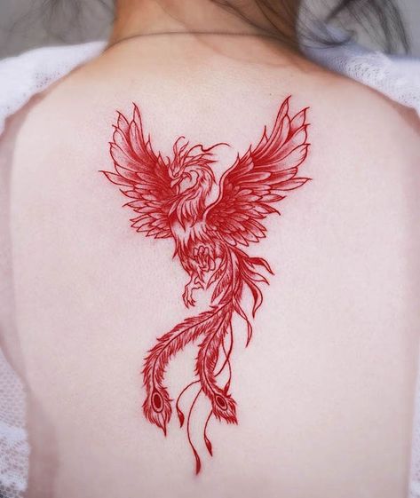 Tattoo Wrap Around Arm, Phoenix Tattoos For Women, Watercolor Phoenix Tattoo, Phoenix Feather Tattoos, Phoenix Tattoo Ideas, Phoenix Back Tattoo, Rising Phoenix Tattoo, Fenix Tattoo, Phoenix Tattoo Feminine