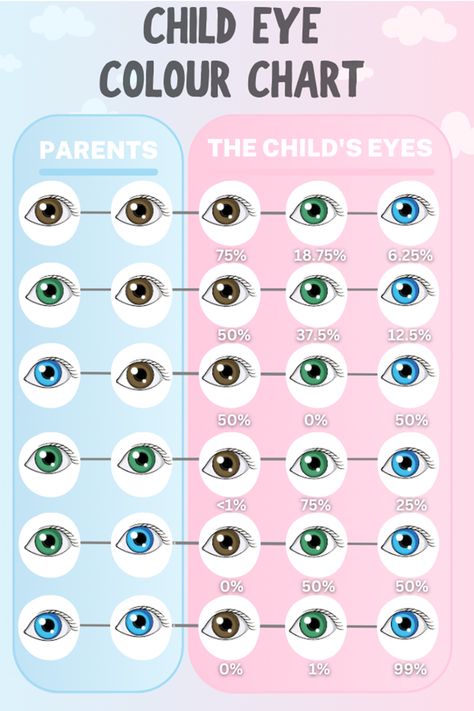 Baby Eye Color Chart Natural Eye Color Chart, Eye Color Genetics, Eye Colours Chart, How To Change Your Eye Color, How To Change Your Eye Color Naturally, Eye Type Chart, How To Change Eye Color Naturally, Eye Colour Chart, Types Of Eye Colors