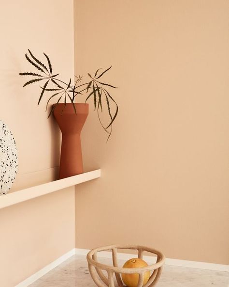 Sunset Wall Color, Pale Orange Walls, Peach Kitchen Walls, Apricot Bathroom, Pink Accent Wallpaper, Peach Paint Colors, London Penthouse, Behr Marquee Paint, Best Blue Paint Colors