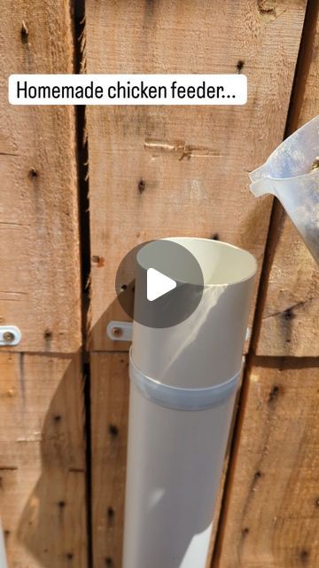 Grit Dispenser For Chickens, Wooden Chicken Feeder, Feeders For Chickens, Easy Diy Chicken Feeder, Chicken Feeder Ideas, Homemade Chicken Feeder, Diy Chicken Feeder, Pvc Chicken Feeder, Chicken Feeder Diy