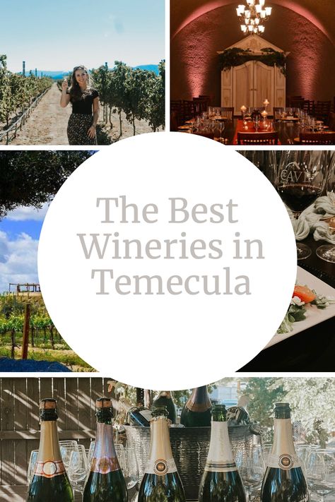 Temecula, located in the heart of Southern California's wine country, is home to some of the most beautiful and unique wineries in the world. Whether you're looking for a romantic getaway or an adventure with friends, Temecula offers something for everyone. From crisp white wines to velvety reds, explore the best wineries in Temecula and find the perfect match for your palate. Temecula Wine Tasting, Adventure With Friends, Temecula Wineries, Vineyard Tour, Wine Vineyards, Temecula California, Dry Wine, Wine Tasting Experience, White Wines