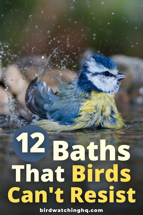 Bird Baths Homemade, Backyard Birds Watching, Backyard Birds Sanctuary, Backyard Birds Feeders, Solar Bird Bath, Hanging Bird Bath, Bird Fountain, Bird Feeding Station, Diy Bird Bath