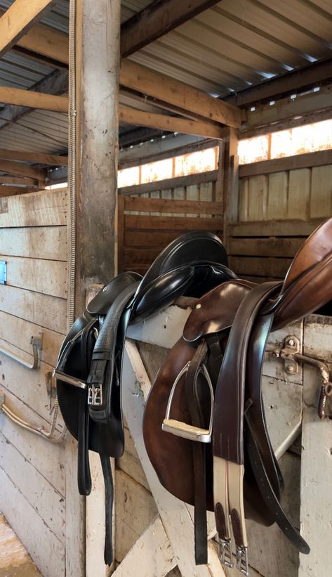 Horse Job Aesthetic, Saddle Club Aesthetic, Horse Equipment Aesthetic, Western Equestrian Aesthetic, Saddling A Horse, Rich Equestrian Aesthetic Stables, Equestrian Lifestyle Aesthetic, Stable Hand Aesthetic, English Horseback Riding Aesthetic