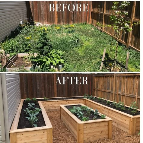 Home Vegetable Garden Design, Diy Raised Garden, Plants Growing, Backyard Vegetable Gardens, Raised Garden Beds Diy, Home Vegetable Garden, Garden Yard Ideas, Backyard Garden Design, Vegetable Garden Design