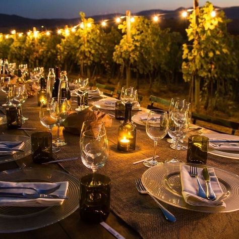 Vineyard Dinner Party, Vineyard Dinner, Zebra Wedding, Vineyard Photography, Italian Vineyard, Italian Themed Parties, Holiday In Italy, Outdoor Dinner Parties, Birthday Dinner Party