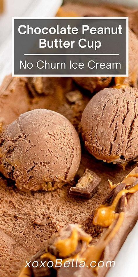 Peanut Butter Cup Ice Cream, Chocolate Peanut Butter Ice Cream, Cup Ice Cream, Churn Ice Cream, Peanut Butter Ice Cream, Frozen Dessert Recipe, Peanut Recipes, Ice Cream Ingredients, Chocolate Peanut Butter Cups