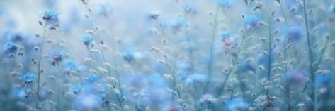 Flower Header Twitter, Blue Twitter Header, Flower Header, Blue Header, Tumblr Flower, 트위터 헤더, Rainy Wallpaper, Theme Divider, Header Tumblr