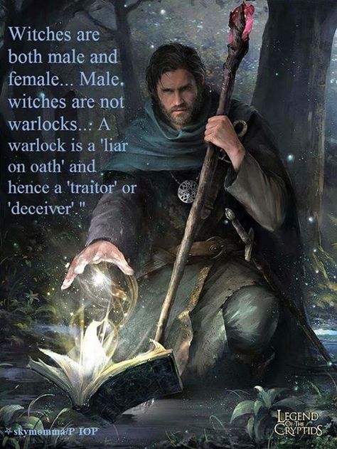 Beginner Wicca - male witches Male Witch, Fantasy Wizard, Heroic Fantasy, Fantasy Male, High Fantasy, Fantasy Warrior, Arte Fantasy, Fantasy Rpg, 판타지 아트