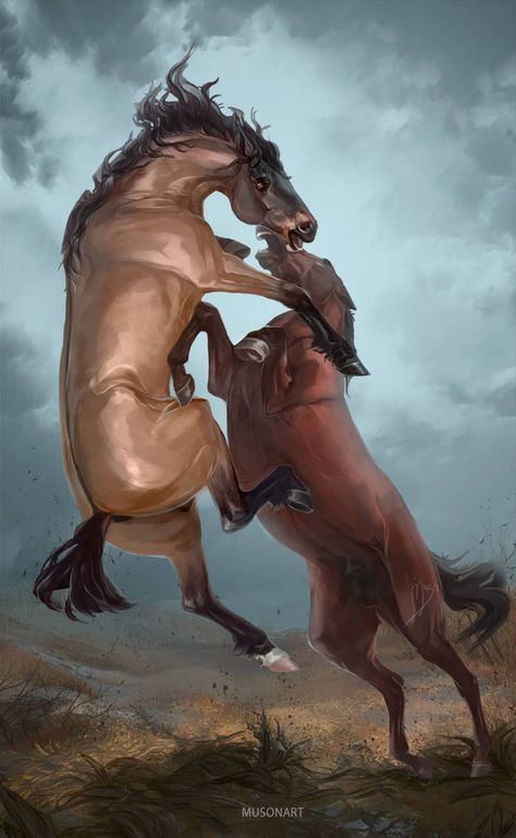 Fight by MUSONART Headshot Commission, Baroque Painting, Horse Illustration, Dynamic Poses, Wolf Art, Art Poses, Horse Art, Community Art, Beautiful Horses