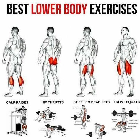 #lowerbody #lowerbodyworkout #workout #workoutmotivation #exercise #training #legs #legworkout #legday #legdayworkout #squats #legpress #lunges Healthy Physique, Lower Body Exercises, Exercises For Men, Fitness Studio Training, Leg Workouts Gym, Lower Body Muscles, Gym Antrenmanları, Muscle Abdominal, Gym Workout Chart