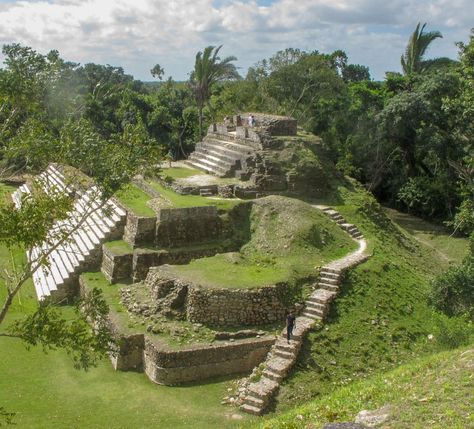 Mayan Ruins, Belize, Archaeology, Bucket List, Google Search, Ruins