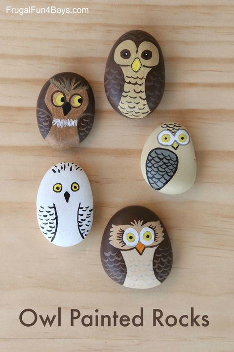 The other week I bought a bag of Caribbean beach pebbles from Home Depot, and we have been having so much fun painting them!  Janie had a blast covering her rocks with every possible color of paint, while Gresham painted little lighthouses on his. (I should take a picture of the lighthouse ones!)  Gresham suggested … Owl Painted Rocks, Art Pierre, Painted Rocks Kids, Painted Rocks Craft, Owl Crafts, Painted Rocks Diy, Rock Painting Ideas Easy, Rock Painting Patterns, Kraf Diy