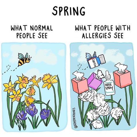 These 35 Illustrations Hilariously Sum Up The Struggles Of Adult Life (New Pics) Allergies Quote, Allergy Memes, Allergies Funny, Rude Memes, Lmao Funny, Well Spoken, Love Sarcasm, I Quit My Job, Creative Careers