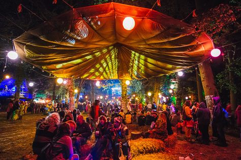 The Enchanted Woods Shambala Festival, Forest Festival, Black Rock Desert, Jellyfish Art, Enchanted Wood, Festival Camping, Light Images, Light Works, Fantasy Forest