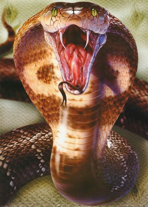 King Cobra Snake, Snake Painting, Tattoo 3d, Cobra Tattoo, Cobra Art, Colorful Snakes, Snake Wallpaper, Poster Animal, Cobra Snake