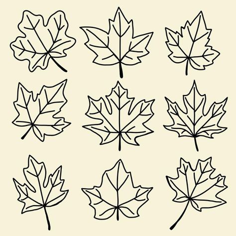 Collection of simplicity maple leaf freehand drawing flat design. Maple Leaf Sketch, Maple Leaves Drawing, Maple Leaf Drawing, Leaf Sketch, Leaf Illustrations, Leaves Drawing, Leaves Sketch, Freehand Drawing, Fall Mood Board