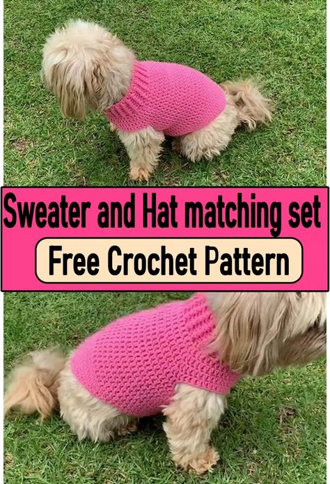 Crochet Dog Sweater Dog Sweaters Crochet Free Coat Patterns, Diy Crochet Dog Sweater Easy, Pie, Medium Dog Sweater Crochet Pattern Free, Crochet Dog Sweater Free Pattern Small, Knit Dog Sweater Free Pattern, Crochet Pet Sweaters Free Patterns, Free Dog Sweater Crochet Pattern, Crochet Dog Sweater Free Pattern Large