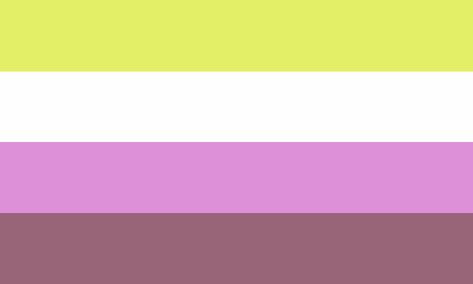 An Flag and Term for someone who is Woman/Girl and Nonbinary Nonbinary Flag, Lgbtq Flags, Us Flag, Women Girl, Flag, Memes