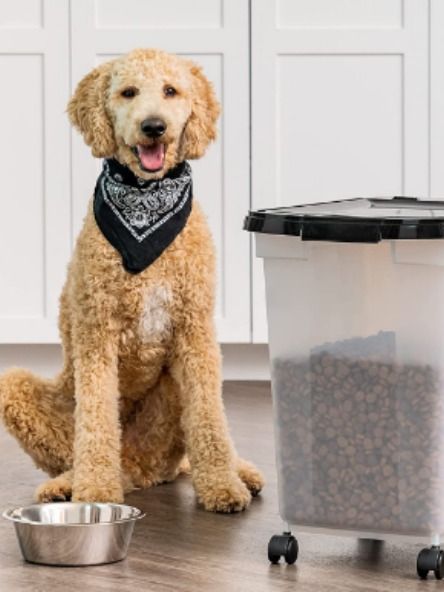 pets foods,pets food packaging,primal pet food,globel pet food,arden grange pet foods Pet Food Storage Ideas, Dog Food Storage Ideas, Food Containers Design, Dog Feeding Station, Pet Food Storage Container, Dog Food Storage Containers, Pet Food Container, Pet Storage, Palm House