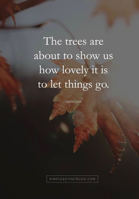 “The leaves are about to show us how lovely it is to let things go.” 🍁 Let Things Go, Beginning Of Fall, Season Quotes, Autumn Love, Autumn Quotes, Fall Is Here, Autumn Beauty, Change Is Good, Change Quotes