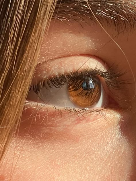 Girls Eye Dp, Eyes Aesthetics, Brown Eyes Aesthetic, Honey Eyes, Sophie Foster, Eyes Aesthetic, Beautiful Eyes Color, Beautiful Brown Eyes, Eye Pictures