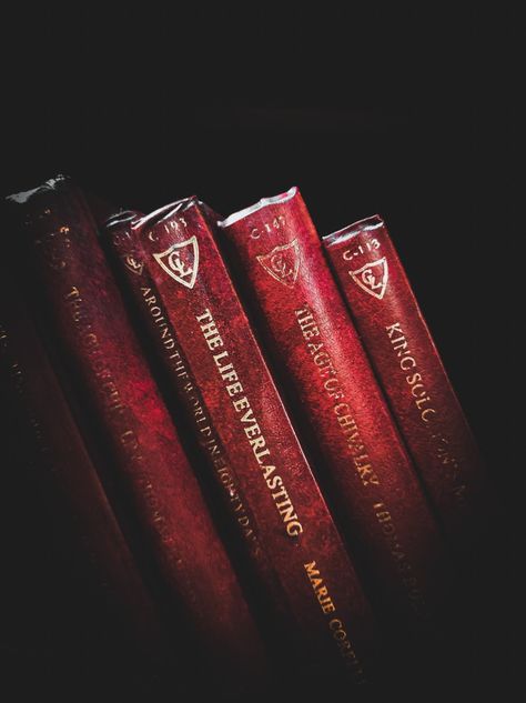 Books Red Aesthetic, Red Writer Aesthetic, Red Aesthetic Books, Gray And Red Aesthetic, Red Books Aesthetic, Red Book Aesthetic, Red And Brown Aesthetic, Red Dark Aesthetic, Scarlet Aesthetic