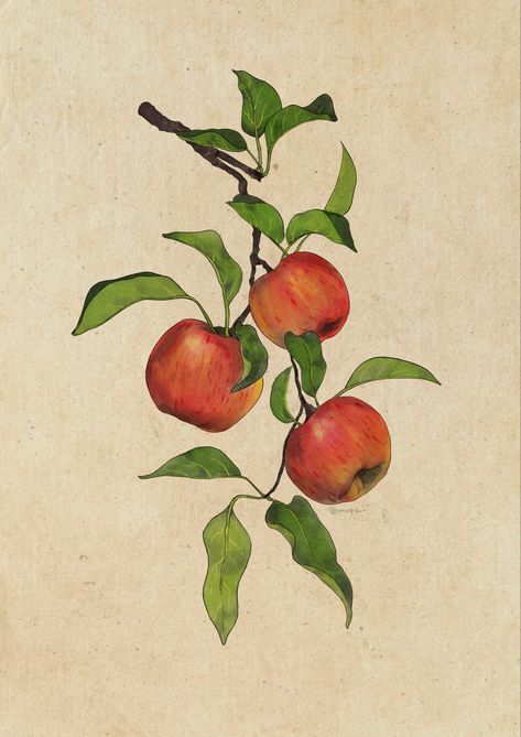 Apple Tree Drawing, Apple Branch, Apple Drawing, Tree Branch Tattoo, Memorial Book, Apple Tattoo, Vintage Food Posters, Fall Journal, Drawing Apple