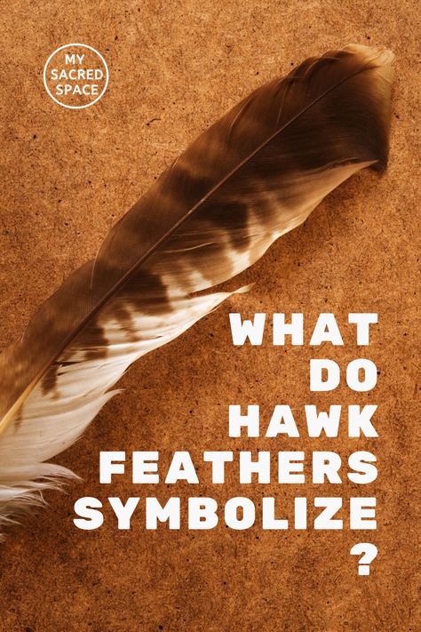 Have you found any feathers or dreamt of one recently? Are you curious about what bird feathers symbolize and mean in your life? Then, this article may help you find your answer. #feather #feathertatoos #feathercoloring #feathercolorsandmeanings #feathercolors #feathercolortatoo #feathercolormeaningwitch #feathercolorful #featheranimals #featheranimaltatoo #yellowfeathermeaning Red Hawk Feather, Nature, Smudge Feathers Diy, Finding Feathers Meaning, Hawk Feather Meaning, Augury Witch, Brown Feather Meaning, Feather Color Meaning, Red Tail Hawk Feathers