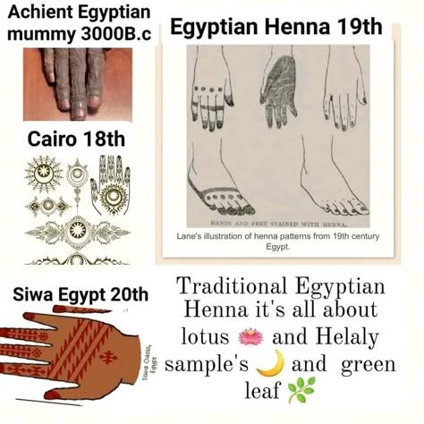 #tattoo #tattooideas #tattooart #tattoosforwomen #tattoodesign #queen #ancient #egypt #kemet #tattooideasformen Nefertiti, ancient Egypt, arm tattoo #egyptianmythology #mythology #egyptiangoddess #henna #hennaart #hennadesigns Set God Egypt, Makeup Blu, Set Egyptian God, Henna History, Pharaonic Art, Planner Fonts, Egyptian Henna, Informational Poster, Great Pyramid Of Khufu