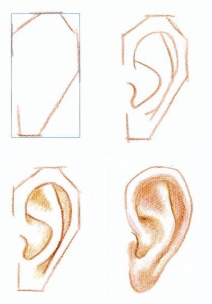 Ear Shapes, Face Art Drawing, Human Body Drawing, Pencil Drawings For Beginners, Human Ear, Drawing Tutorial Face, Fashion Drawing Sketches, 얼굴 그리기, Art Tools Drawing