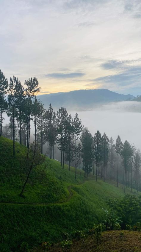 Bukidnon Aesthetic, Bukidnon Philippines, Army Couple Photography, Sagada, Army Couple, Prince Of Dubai, Farm Layout, Forest Background, Manila Philippines