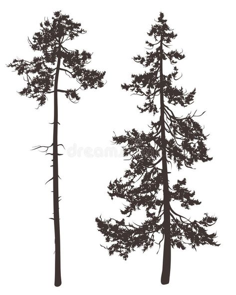 Pine. Silhouettes of two pine trees on a white background #Sponsored , #AFFILIATE, #Affiliate, #Silhouettes, #background, #white, #Pine Tree Silhouette Tattoo, Pine Tattoo, Pine Tree Drawing, Silhouette Tattoo, Pine Tree Painting, Pine Tree Silhouette, Tree Drawings Pencil, Pine Tree Tattoo, Pine Trees Forest