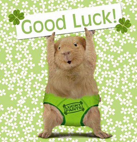 Hey, I wanted to Wish You Good Luck today! Why? Because wishing you good luck helps you perform better. It’s true! Multiple research studies prove it. So ask someone to wish you luck right before a presentation, asking for a raise, a date or going for it in general!   Give it a try. Pass along a good luck wish by posting this to your FB page. Your friends and their performance will thank you! Goodluck Message, Good Luck For Exams, Good Luck Today, Good Luck Wishes, Good Luck New Job, All The Best Wishes, Wish You Luck, Exam Quotes, Good Luck Symbols