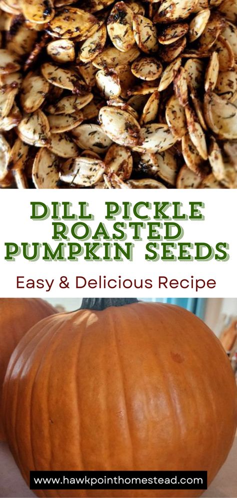 Dill pickle roasted pumpkin seeds are a different take on the wonderful snack of pumpkin seeds. Mix yummy dill pickles with the crunchy pumpkin seeds and you get a delicious fall snack!
One of my favorite things about pumpkin carving and Fall is roasting the pumpkin seeds.
Enjoy these delicious crunchy pumpkin seeds with the wonderful dill pickle flavor. Pumpkin seeds are a healthy and satisfying snack that are so easy to make!
Making pumpkin seeds is a fun activity to do with kids! Different Flavors Of Pumpkin Seeds, Pickle Pumpkin Seeds, Dill Pumpkin Seed Recipes, Dill Pumpkin Seeds, Dill Pickle Pumpkin Seeds, Roasting Pumpkin Seeds Oven, Pumpkin Seeds Recipe Roasted, Best Pumpkin Seeds, Dehydrate Pumpkin