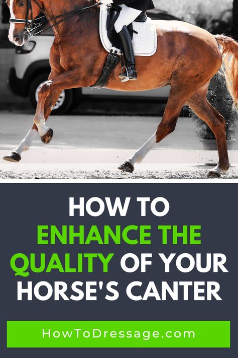 Beginner Dressage Test, Dressage Movements, Canter Exercises Horses, Taking Care Of Horses For Beginners, Dressage Tests Level 1, Dressage Training, Horse Exercises, Horse Riding Tips, Horse Equipment