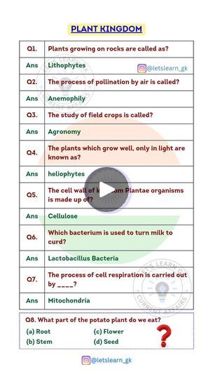 20K views · 2K reactions | Plant Kingdom. PDF 📚 available on Telegram Channel.

📍JANUARY TO DECEMBER 2023 Yearly Current Affairs PDF available on Telegram Channel. 

📍 January 2024 Monthly Current Affairs PDF available on Telegram Channel.

📍 February 2024 Monthly Current Affairs PDF available on Telegram Channel.

📍Telegram channel link available in Bio.  Or Message Me on Telegram/WhatsApp to Join - 9478795854 | Let's Learn Gk | Ludwig Göransson · Can You Hear The Music Music, Plant Kingdom, January To December, December 2023, January 2024, Telegram Channel, Current Affairs, Study Notes, Let It Be