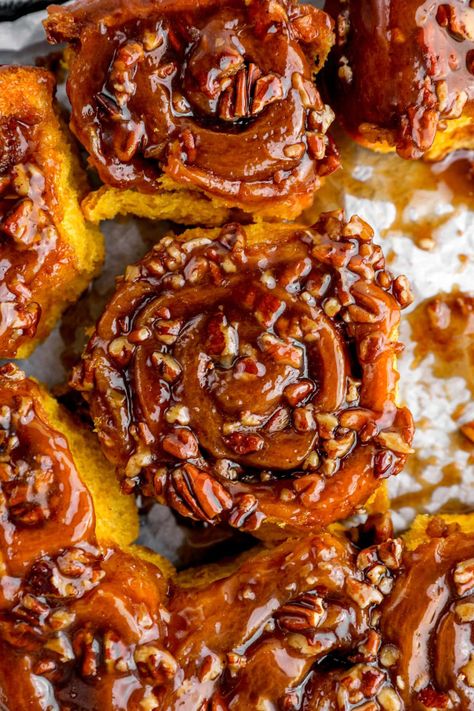 Warm up your taste buds with our decadent Spiced Pumpkin Pecan Sticky Buns. Soft, fluffy pumpkin dough is filled with a sweet, spiced brown sugar filling and topped with crunchy pecans and a rich caramel-like syrup. Perfect for a cozy breakfast or a sweet treat! Sticky Pecan Buns, Best Sticky Buns Recipe, Pecan Sticky Buns Recipes, Pumpkin Pecan Cinnamon Rolls, Caramel Pecan Rolls, Pecan Sticky Rolls, Sticky Bun, Overnight Sticky Buns, Amish Sticky Buns Recipe