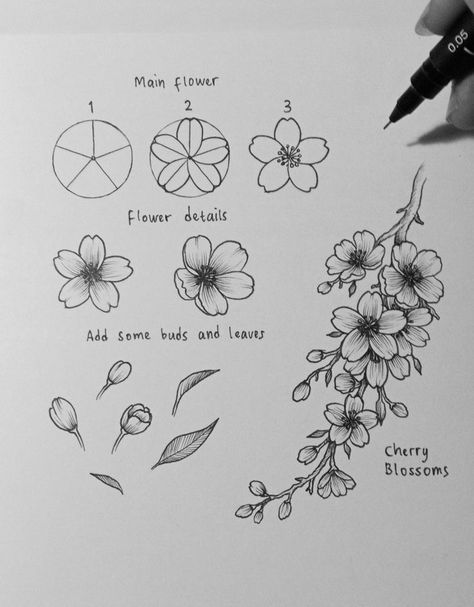 Cherry Blossom Ink Drawing, How To Draw Blossom Flower, Flower Art Drawing Step By Step, Blossom Flowers Drawing, Flower Drawings Tutorials, How To Draw A Japanese Cherry Blossom, Cherry Blossom Doodle Simple, Flower How To Draw Step By Step, How To Draw Cherry Blossom Flowers