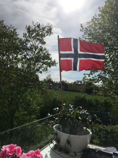 17th of May, Norways national day National Day, Summer Vibes, Norway, Wind Sock, Outdoor Decor, Art