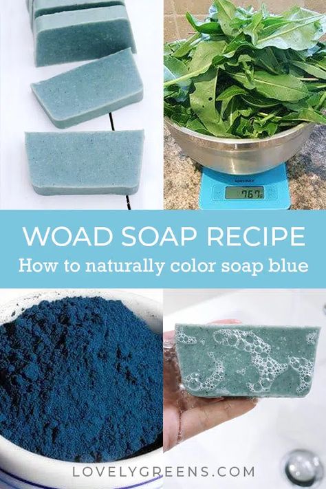 Herbal Wellness, Lovely Greens, Blue Soap, Cold Process Soap Recipes, Soap Colorants, Soap Making Recipes, Routine Skin, Diy Kosmetik, Soap Recipe