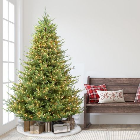 Balsam Fir Christmas Tree, Christmas Tree Clear Lights, Spruce Christmas Tree, Prelit Tree, Fir Christmas Tree, Pine Christmas Tree, Real Christmas Tree, Balsam Fir, Christmas Tree Stand